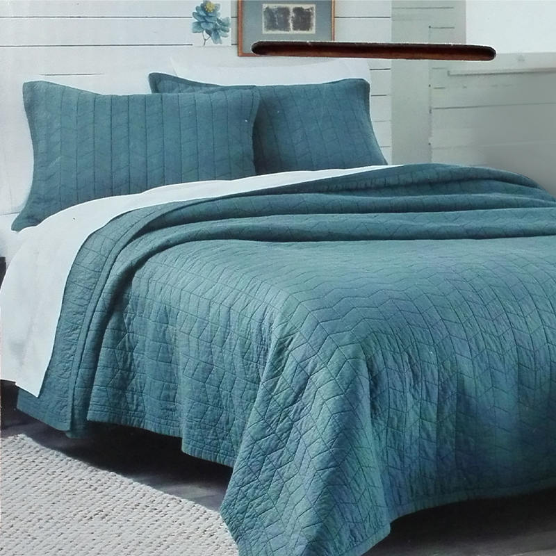 Enzyme lavit Quilt Set